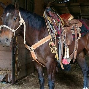 Meet your Posher, Cody